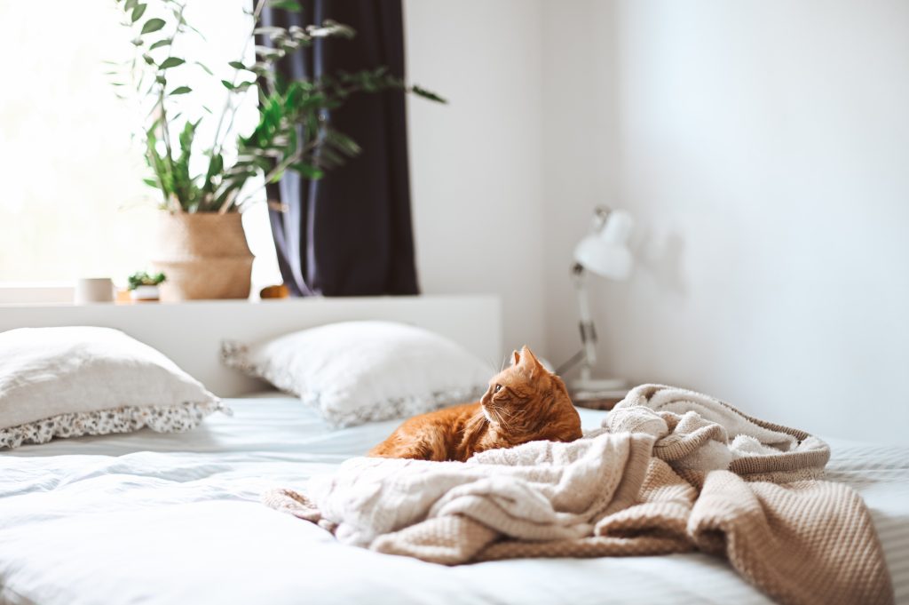 beste matras